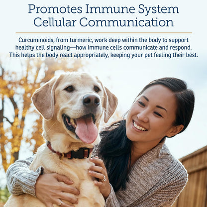 Rx Vitamins CurcuWIN - Curcumin for Dogs & – Movilidad y confort articular: al reducir la inflamación, puede – Image 4