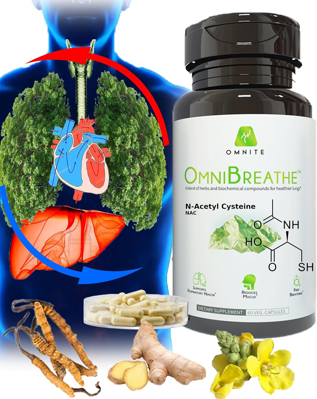 Omnite Suplemento Respiratorio con Mullein, NAC y Ortiga | Fórmula de Bienestar para Vías Respiratorias | 60 Cápsulas Veganas