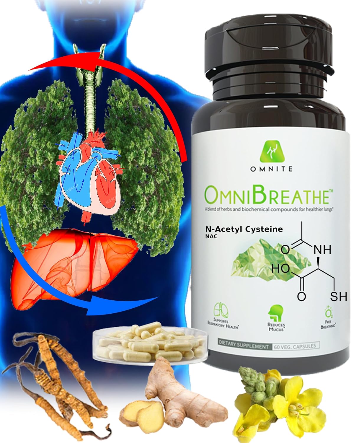Omnite Suplemento Respiratorio con Mullein, NAC y Ortiga | Fórmula de Bienestar para Vías Respiratorias | 60 Cápsulas Veganas