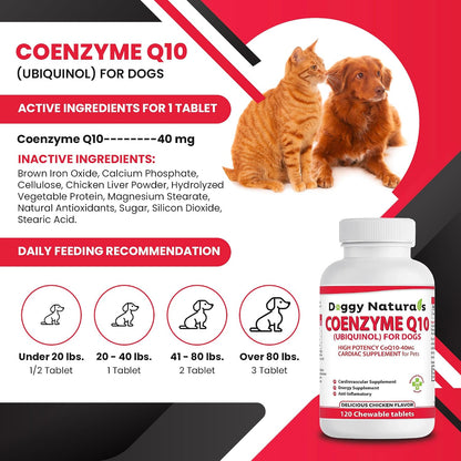 Coenzima Q10 para Perros – Ubiquinol 40mg – Fomentar la energía celular: la CoQ10 es esencial para la producción – Image 2