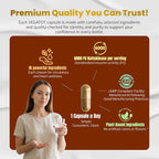 Vegatot Nattokinase Supplement, 10-in-1 Nattokinase Complex 6000 FU with Vitamin K2, CoQ10, Quercetin, Bromelain, & Niacin, Daily Enzyme & Wellness Support*, 150 Capsules, Non-GMO, Gluten Free