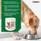 Ramard Total GI Canine Health Soft Chews, 45 unidades