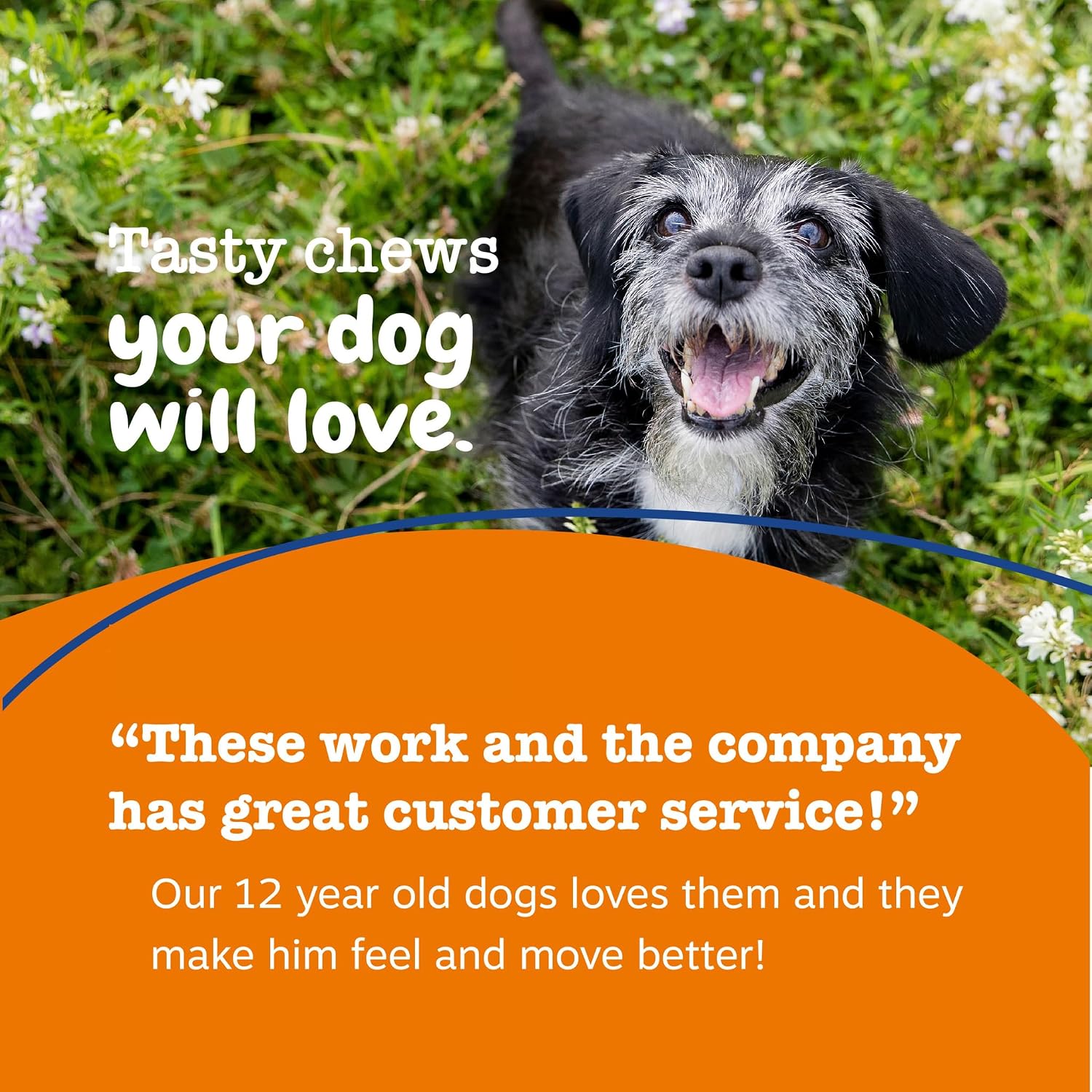 Zesty Paws Senior Dog Multivitamin Treats - Glucosamina + Probióticos - Sin Cereales - Sabor Pollo - Advanced - 60 uds