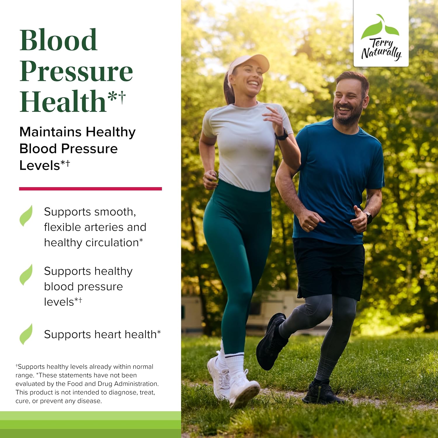 Terry Naturally Blood Pressure Health | Apoyo a la presión arterial y circulación | 60 cápsulas