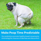 PawSafe Probióticos para Perros Masticables - 120 Unidades - Sabor Pollo y Miel