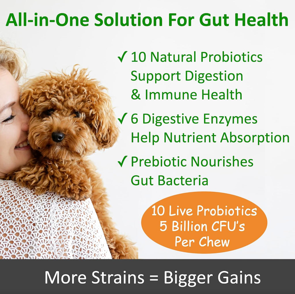 TummyWorks Probióticos para Perros - 120 Masticables Suaves para la Salud Digestiva, Intestinal, Inmunidad, Energía, Alergias, Piel y Pelaje - 10 Cepas, 5 mil millones de UFC con 6 Enzimas