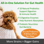 TummyWorks Probióticos para Perros - 120 Masticables Suaves para la Salud Digestiva, Intestinal, Inmunidad, Energía, Alergias, Piel y Pelaje - 10 Cepas, 5 mil millones de UFC con 6 Enzimas