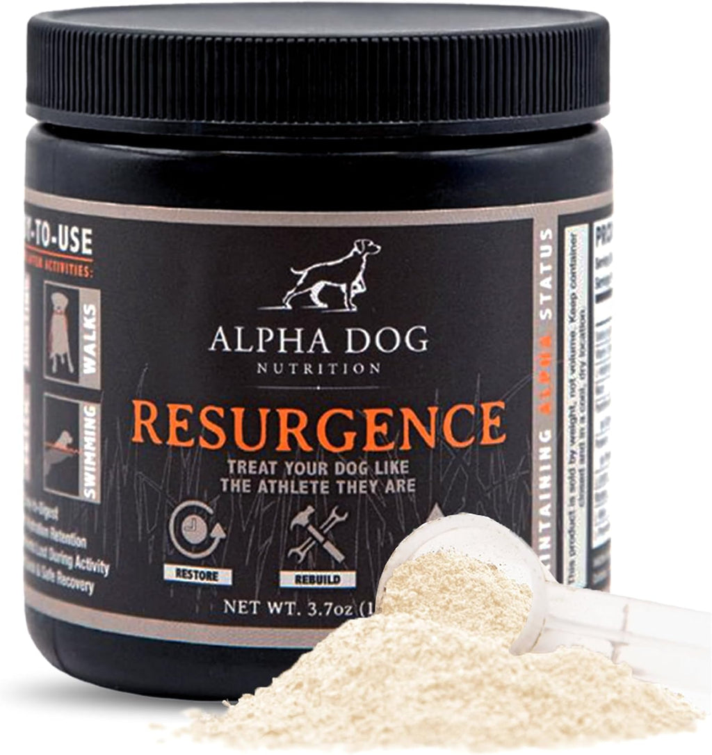 Alpha Dog Nutrition Electrolitos para Perros - Suplemento de Hidratación Formulado por Doctores con Sabor a Carne de Res para Caninos Activos - Polvo Versátil para la Recuperación de la Deshidratación y la Resistencia