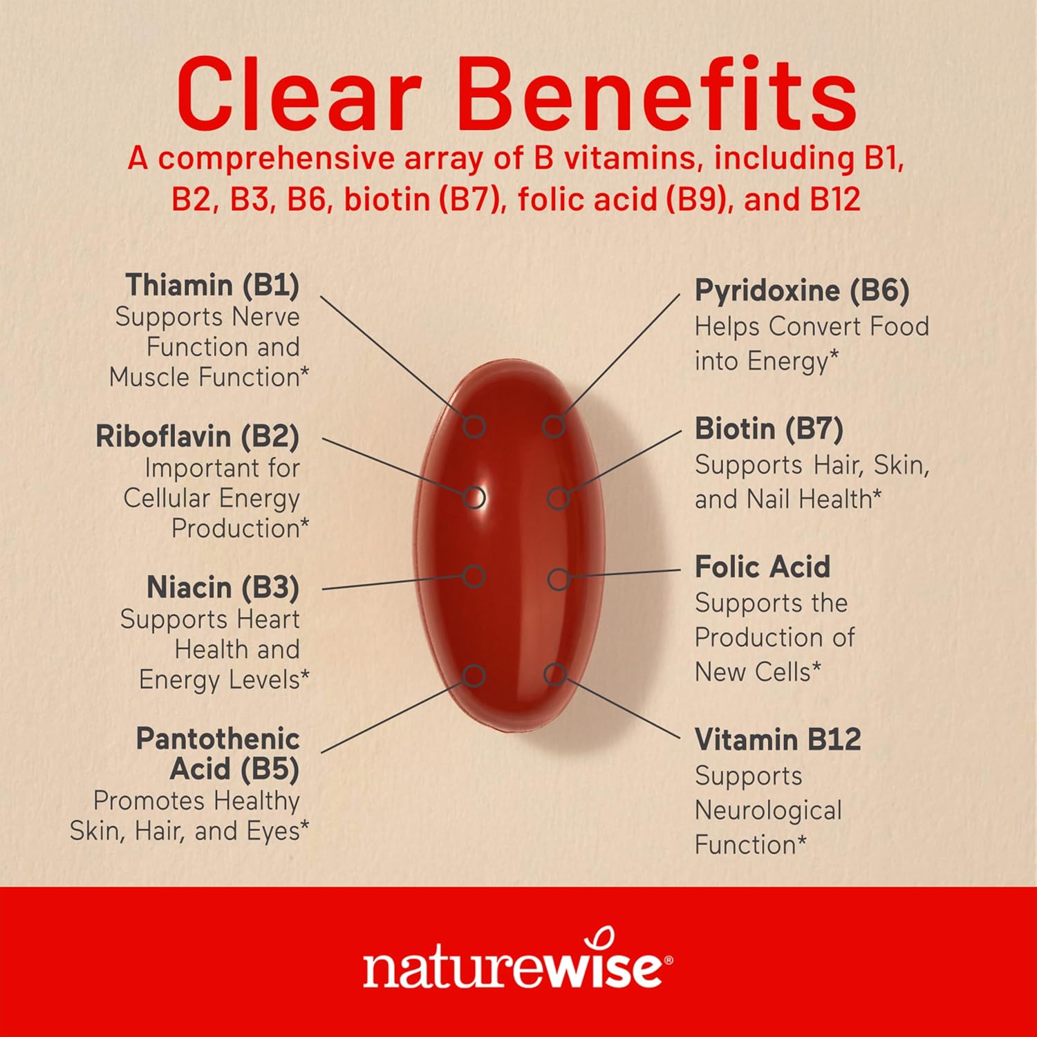 NatureWise Complejo de Vitamina B para Hombres y Mujeres - con Ácido Fólico, Biotina, B1, B2, B3, B6, B12 - Apoyo a la Energía Celular y Claridad Mental - Sin Gluten y Sin Lácteos - 360 Cápsulas Blandas