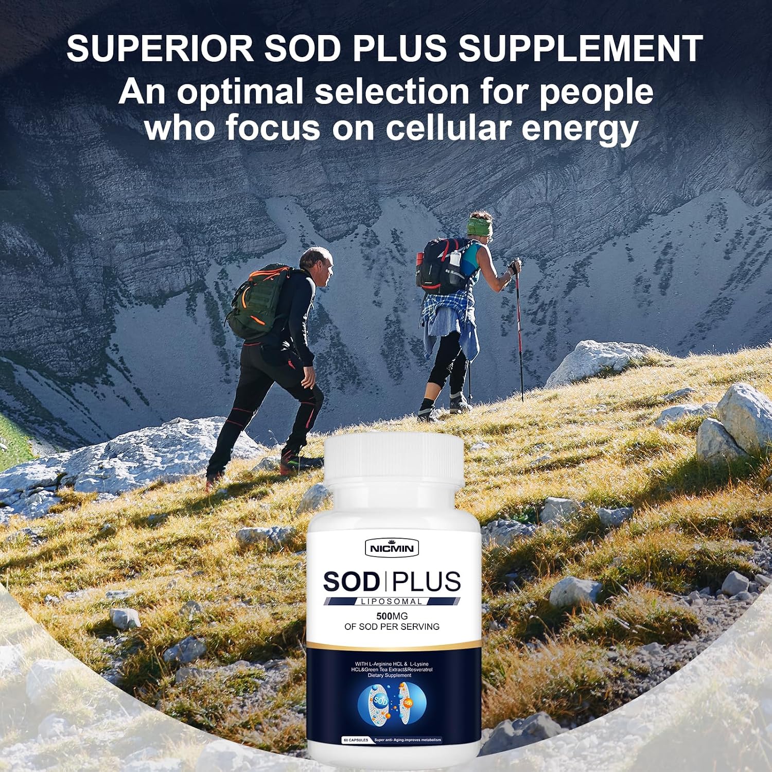 NICMIN 500MG Superóxido Dismutasa con Glutatión Liposomal, AKG, Extracto de Té Verde, L-Arginina, Lisina, Resveratrol y Vitamina E - 120 Cápsulas