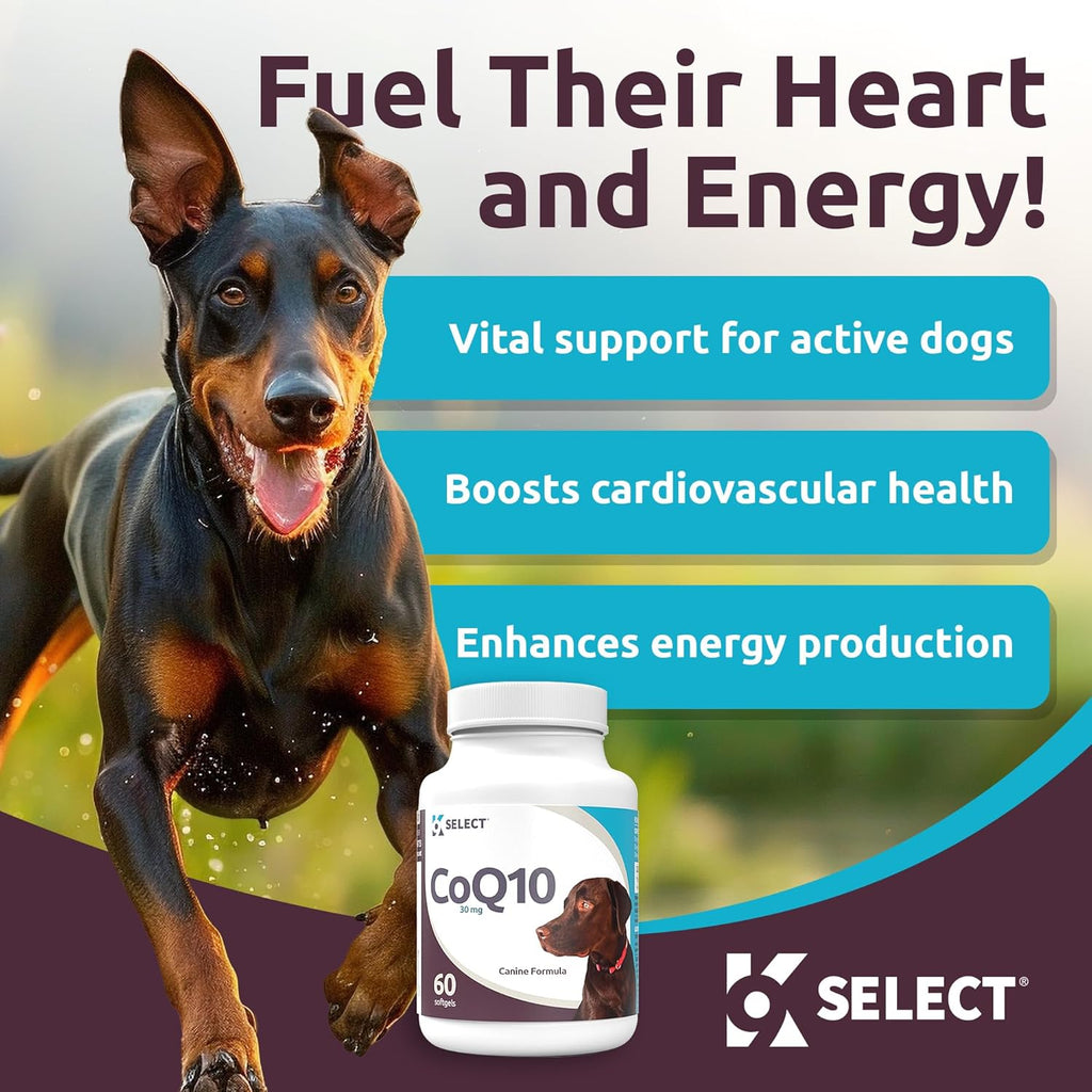 K9 Select CoQ10 Supplement for Dogs, 30mg - 60 Soft Gels per Bottle