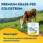 Energievoll Polvo de Calostro Bovino - 60% IgG 3000 mg - Sin Sabor - 50 Dosis