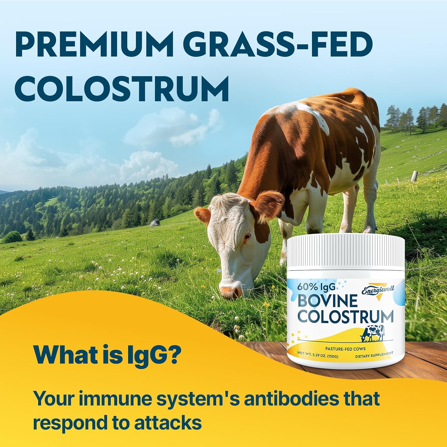 Energievoll Polvo de Calostro Bovino - 60% IgG 3000 mg - Sin Sabor - 50 Dosis