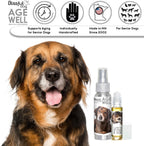 The Blissful Dog Spray de Aromaterapia Age Well para Perros de Raza Mixta (78 ml)