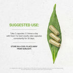 Secrets of the Tribe Llantén 60 Cápsulas, 1000 mg, Hoja Seca de Plantago Major