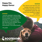 Rooted Owl® Blood Support para Perros y Gatos con Espirulina y Chlorella