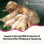 Breeder's Edge Oxy Momma Soft Chews - Postnatal Supplement for Lactating Dogs and Cats, 40 Count