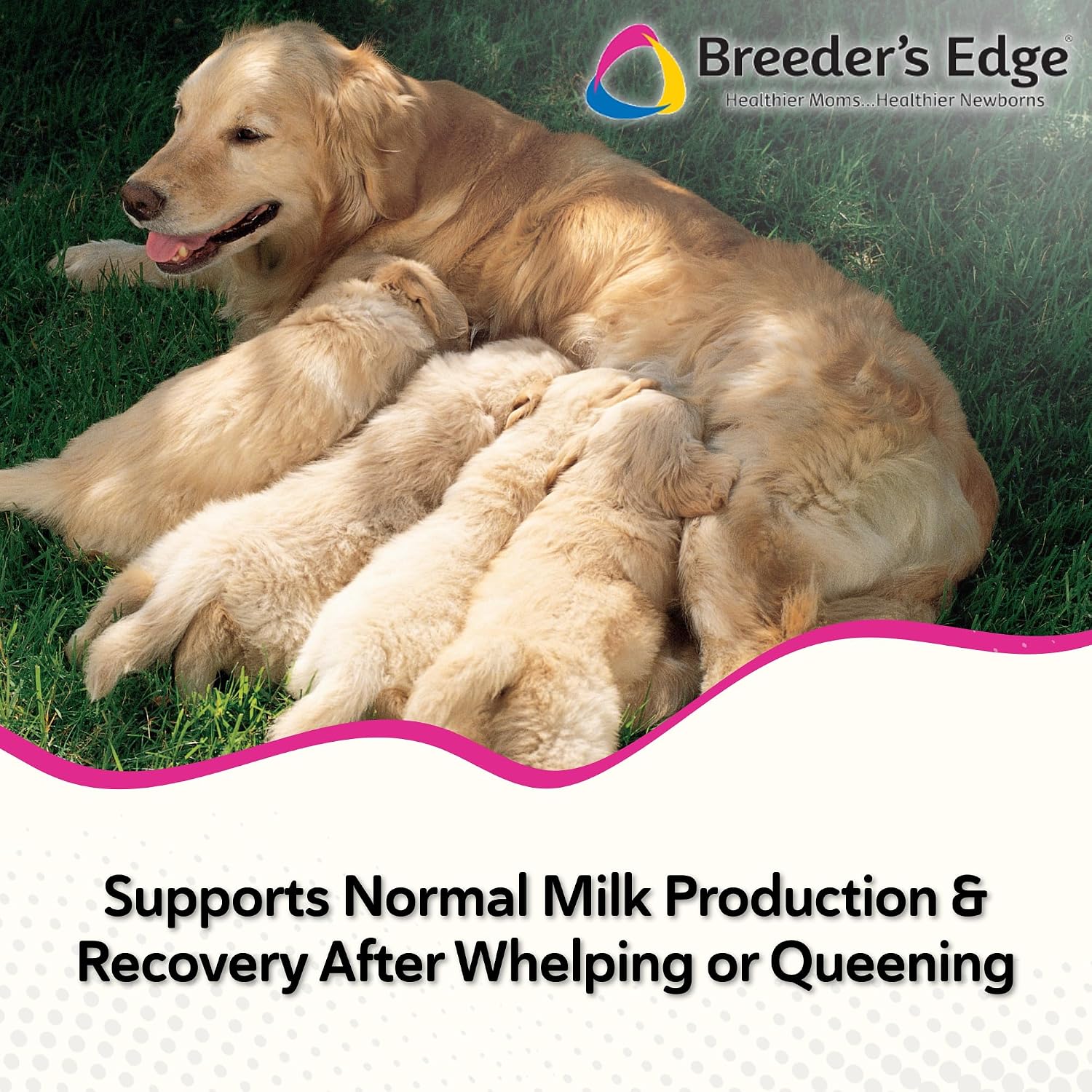 Breeder's Edge Oxy Momma Soft Chews - Postnatal Supplement for Lactating Dogs and Cats, 40 Count