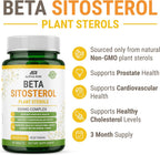 Beta Sitosterol 500 mg - 90 Comprimidos - No Transgénico - Salud Prostática y Colesterol