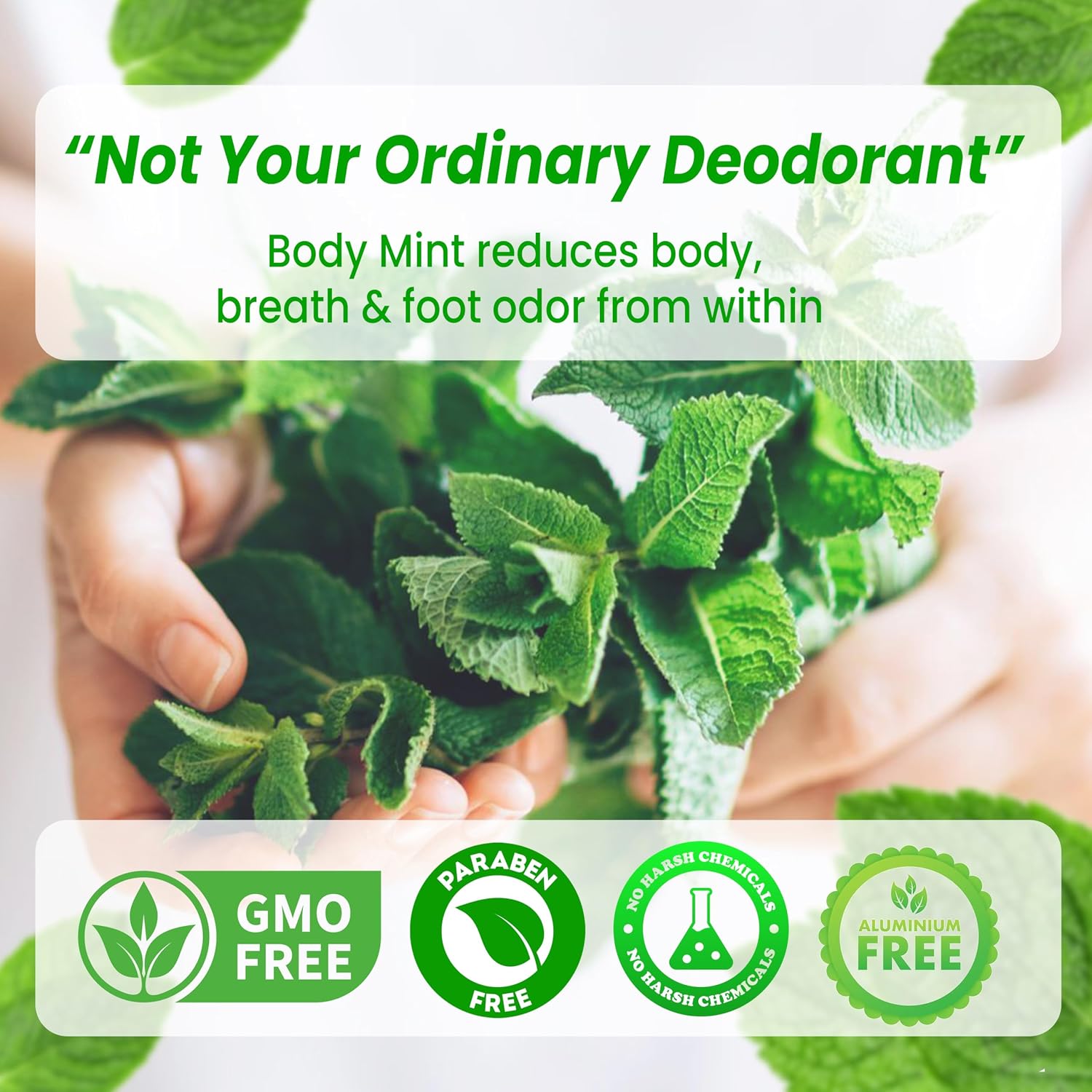 Body Mint Original - Desodorante Interno de Clorofila - 50 Comprimidos