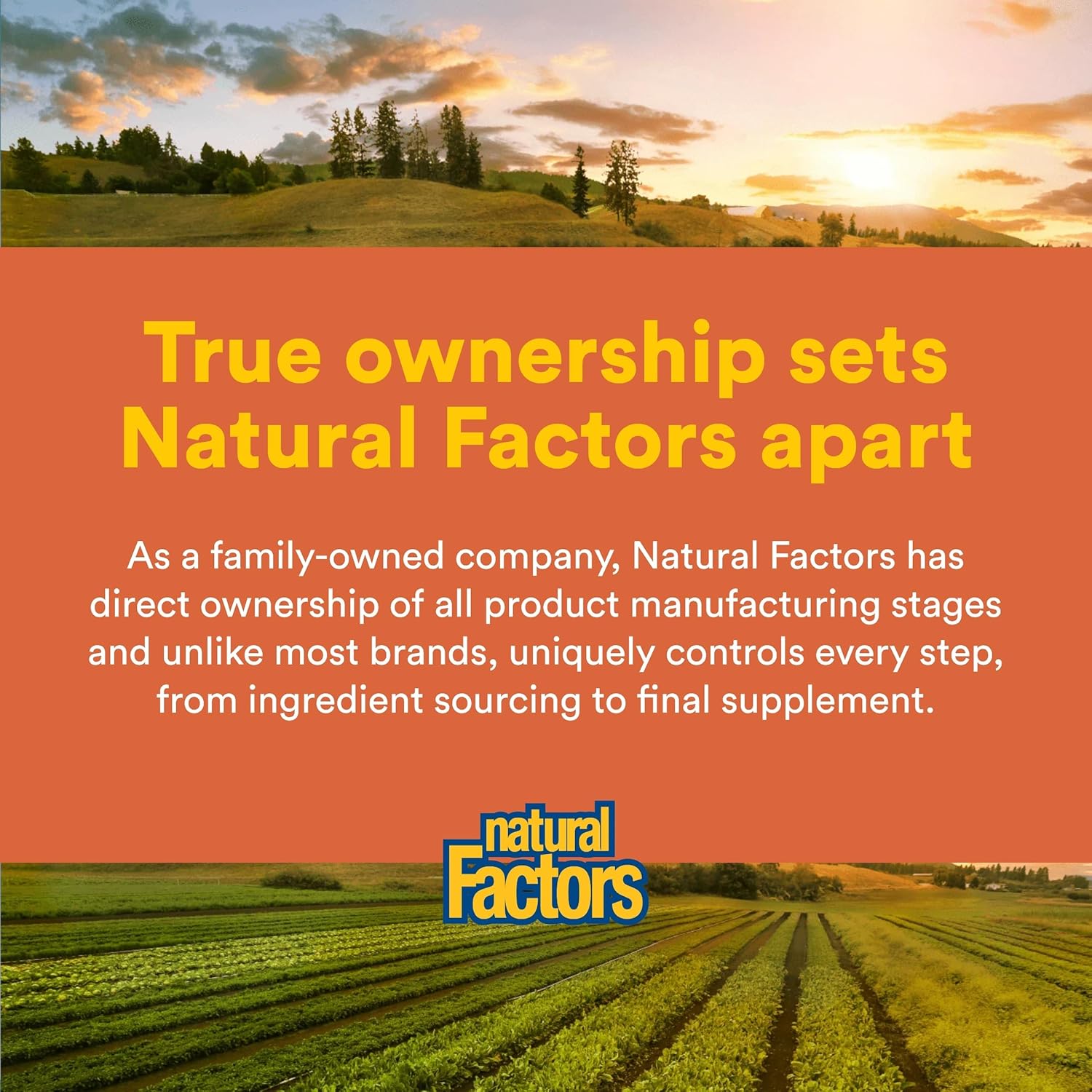 Natural Factors, Vitamina C Masticable para Niños 500 mg, con Bioflavonoides, Sabor Melocotón, Maracuyá y Mango, 90 Comprimidos