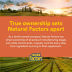 Natural Factors PQQ-10, Complemento Alimenticio para la Energía y el Envejecimiento Saludable, 60 Cápsulas Blandas