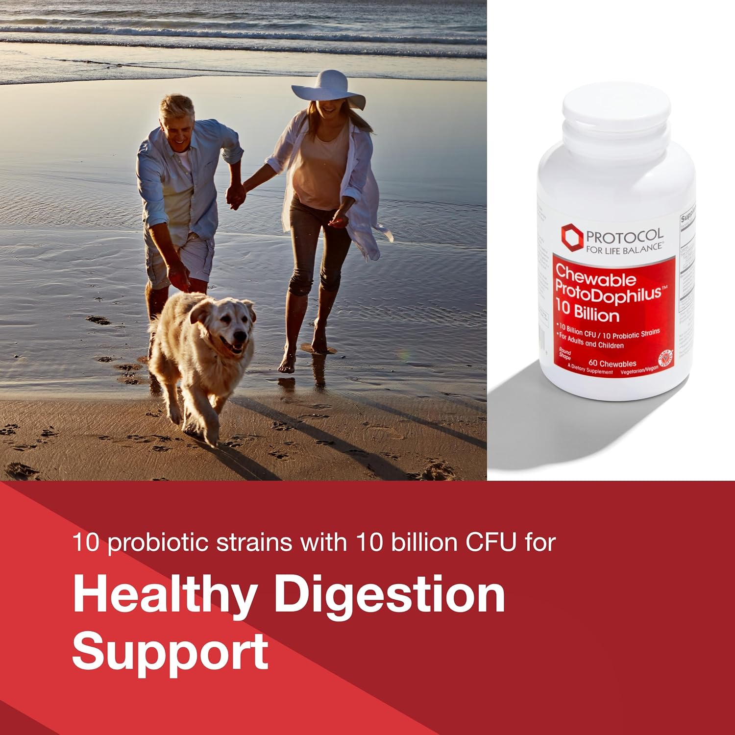 PROTOCOL FOR LIFE BALANCE Protodophilus Masticable - 10 Billion CFU Probiotic - Digestive Health - Vegan & Halal - 60 Tablets