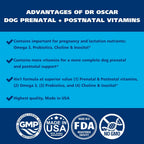 Vitaminas prenatales para perros Dr. Oscar – 2 en 1 prenatales y posnatales con ácido fólico, omega 3, probióticos, colina e inositol – 90 comprimidos