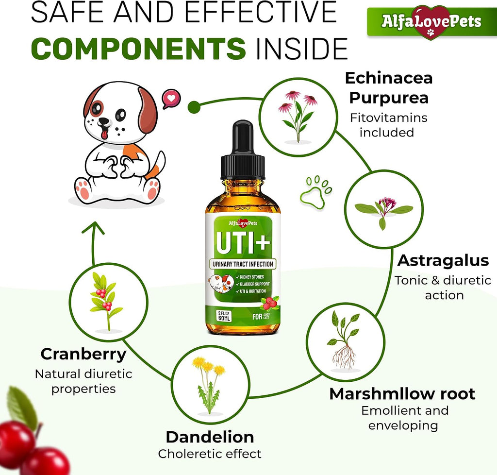 Suplemento Urinario para Perros y Gatos – Cuidado de Riñones y Vejiga con Arándano – 60 ml