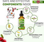 Suplemento Urinario para Perros y Gatos – Cuidado de Riñones y Vejiga con Arándano – 60 ml