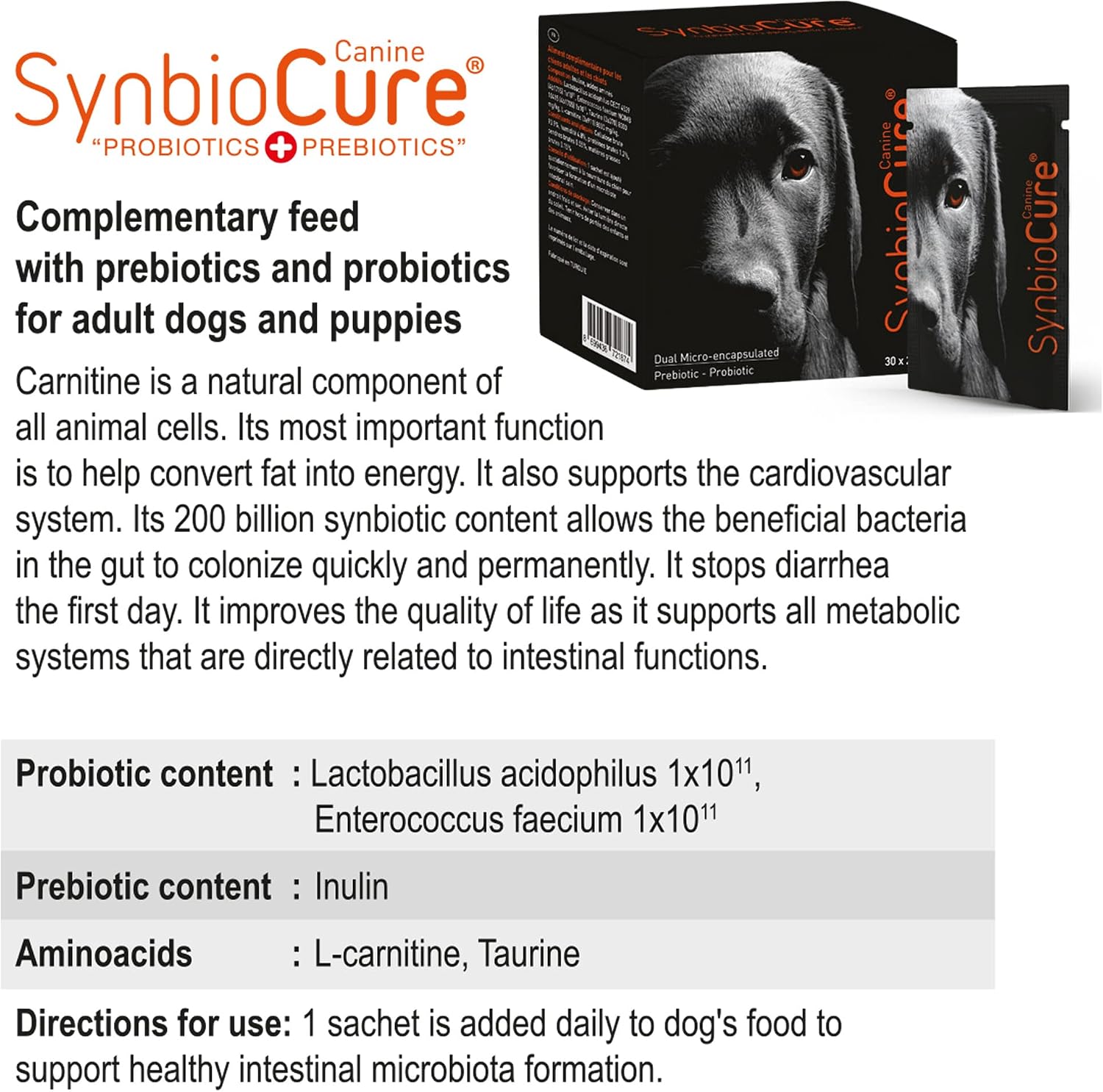 SynbioCure Probióticos y Prebióticos para Perros | Polvo | 200 Mil Millones de Bacterias por Sobre | 30 Sobres de 2 g