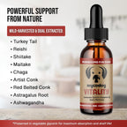 MycoDog Vitality - 20-in-1 Mushroom & Adaptogen Supplement for Dogs - Immune Health, Senior Dog, & Daily Wellness Support - Turkey Tail Mushroom for Dogs, Reishi, Chaga