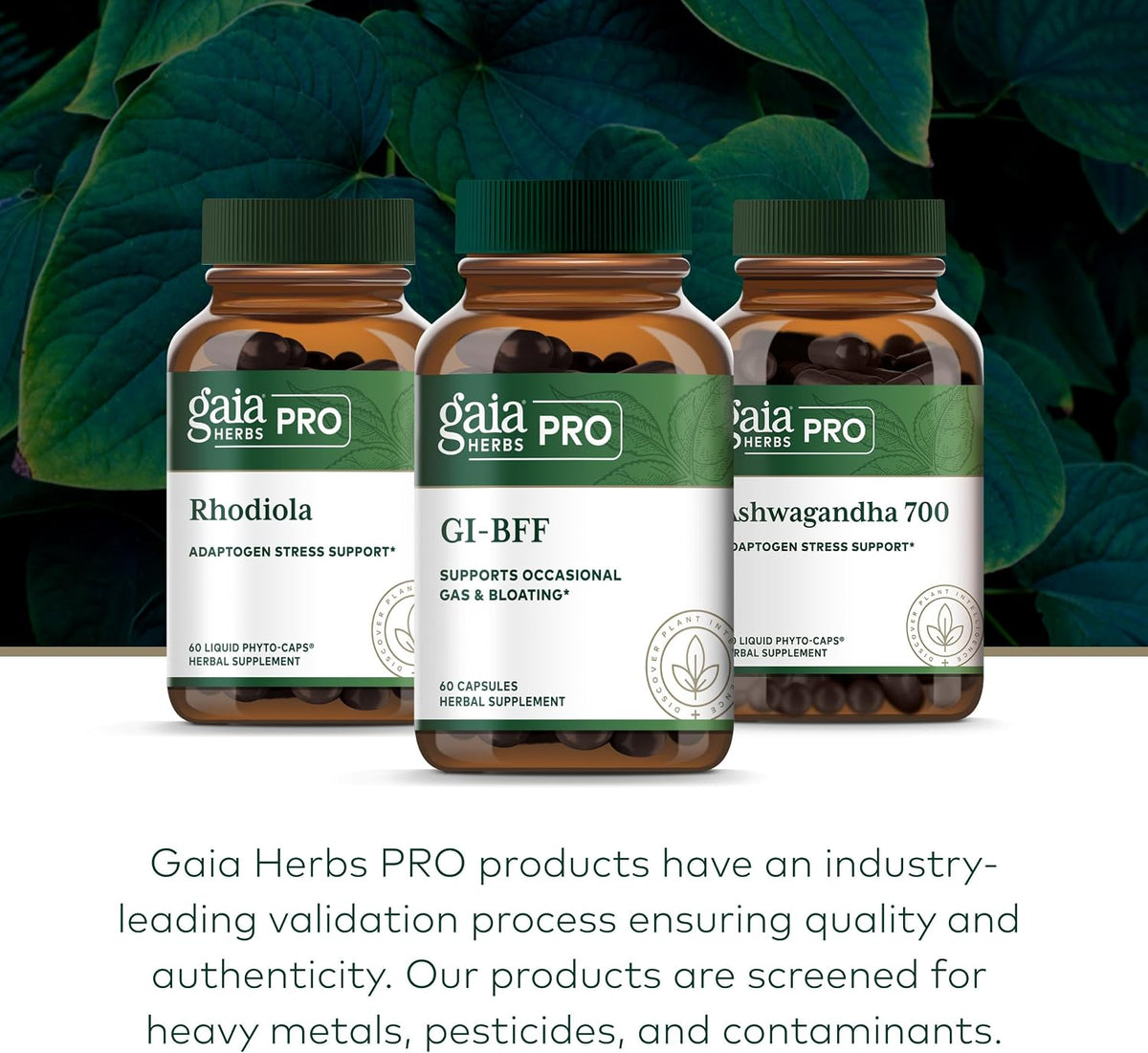 GAIA HERBS PRO GI-BFF – Suplemento para la Salud Digestiva con Benegut – 60 Cápsulas – Image 6