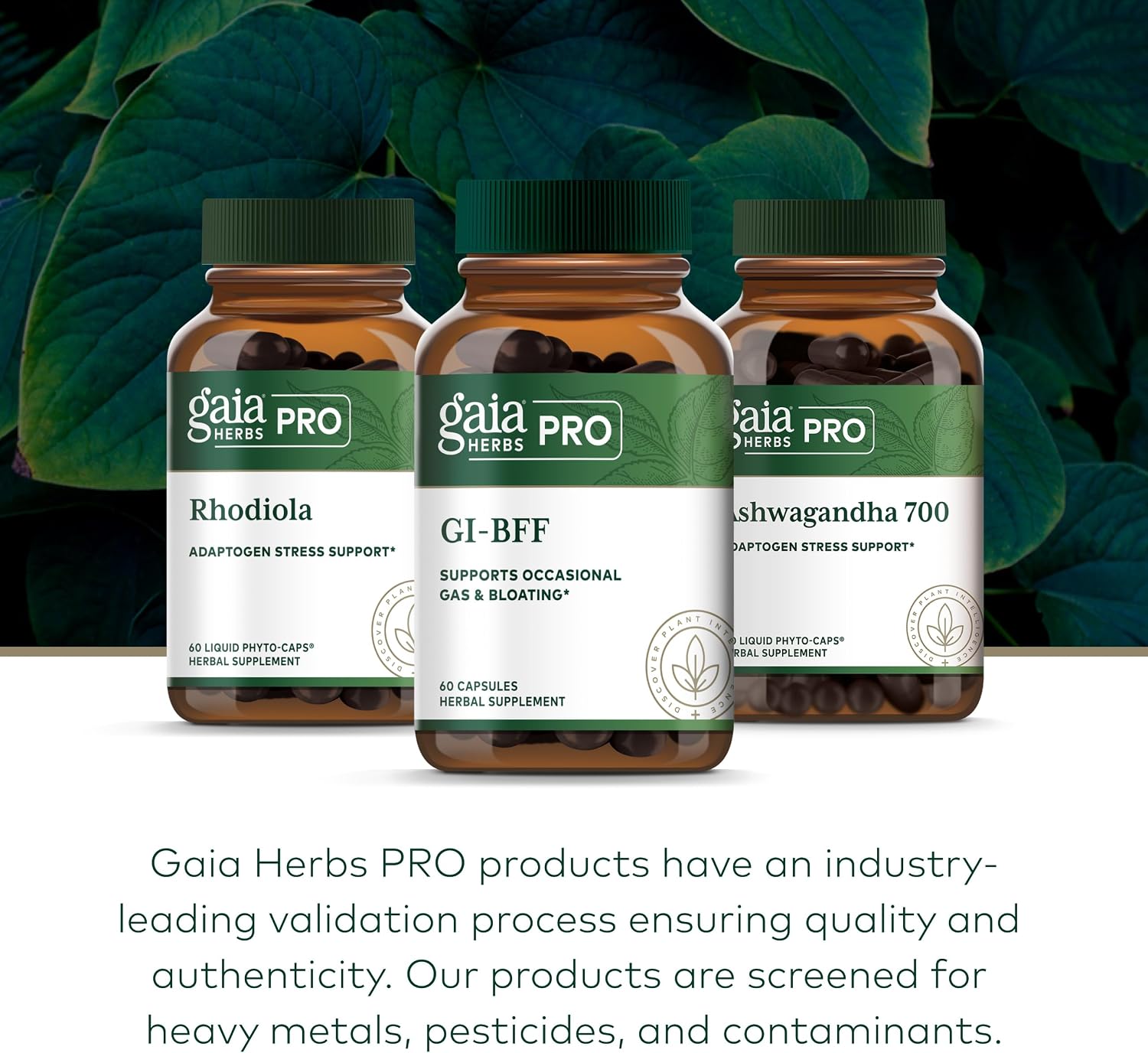 GAIA HERBS PRO GI-BFF – Suplemento para la Salud Digestiva con Benegut – 60 Cápsulas