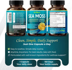 Premium Sea Moss with Ashwagandha, Burdock Bladderwrack, Black Seed for Immune System, Skin, Digestion & Energy (150 Count)