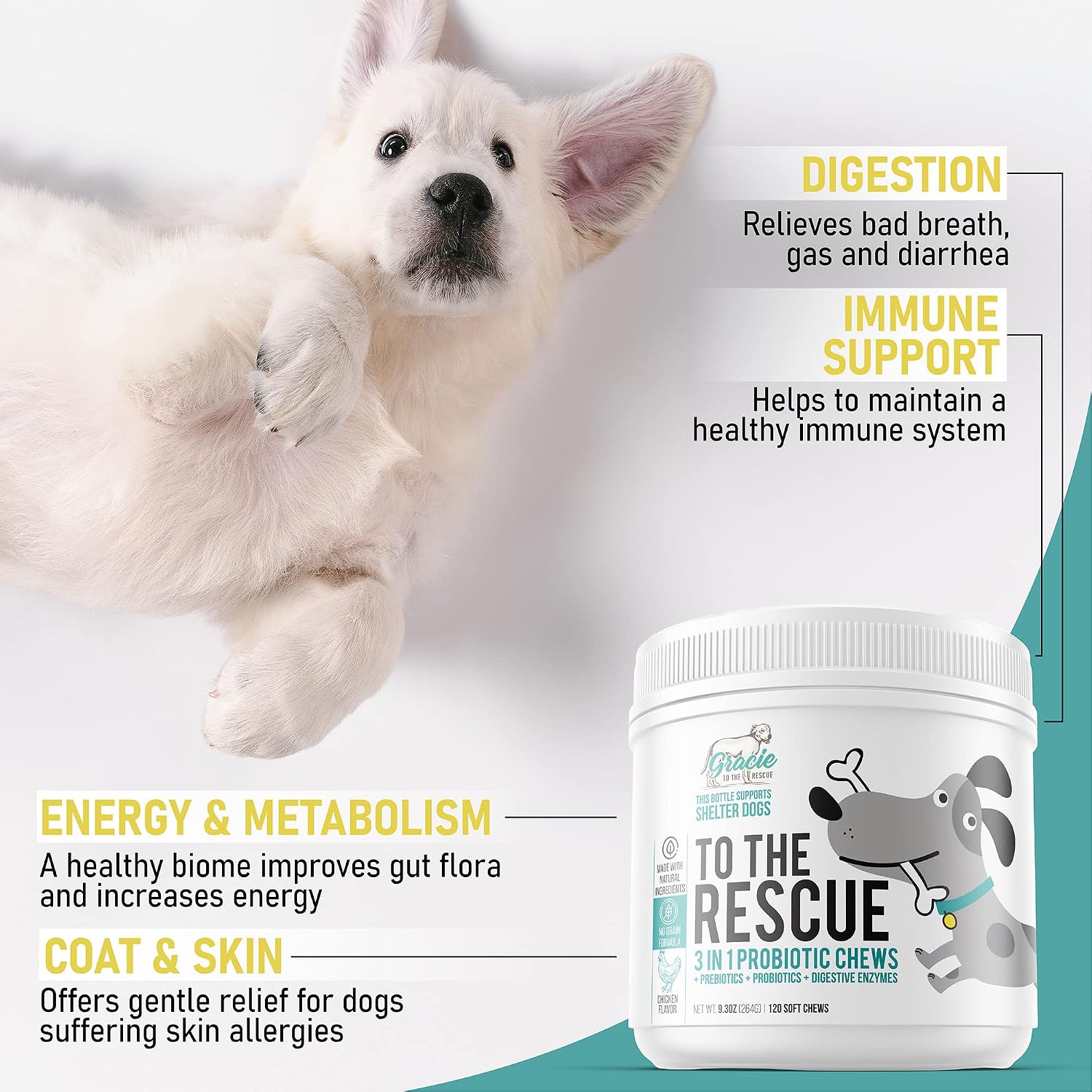 Probióticos para Perros Masticables – Apoyo Digestivo con Enzimas – 120 Unidades