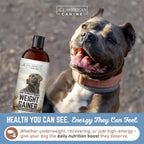 All American Canine Perro Weight Gainer Líquido – Suplemento de Altas Calorías para el Aumento de Peso, Masa y Recuperación – Estimulante del Apetito (473 ml)