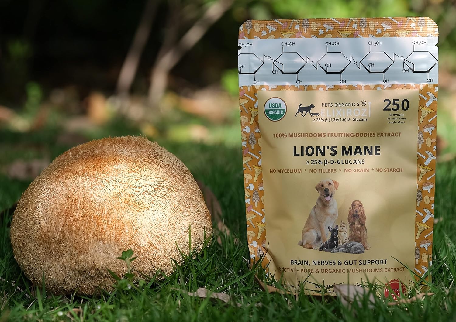 PETS ORGANICS ELIXIROZ Extracto de Melena de León para Perros y Gatos - Concentrado 8:1-12:1 - 250 Servicios