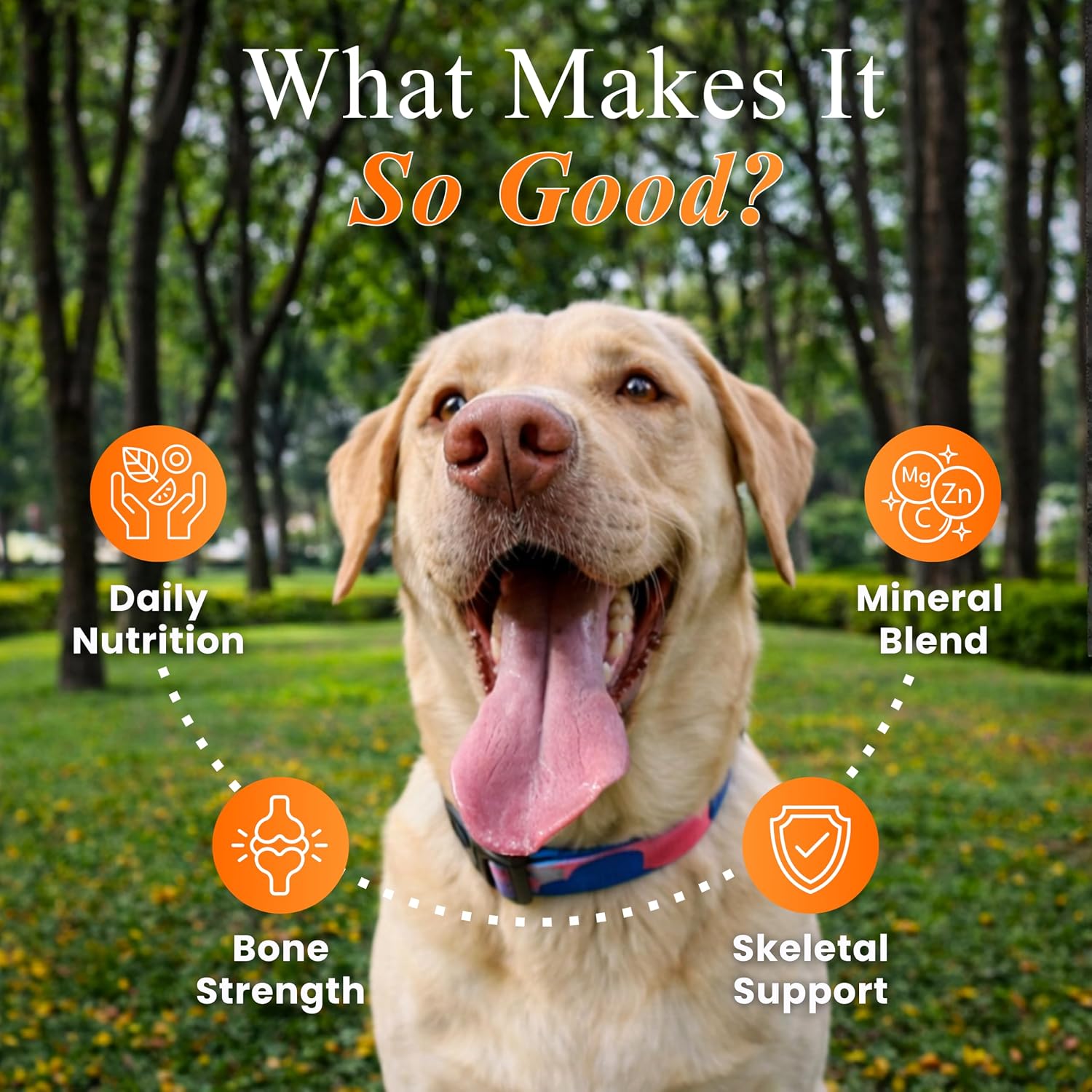 Petroyale 22 en 1 Snacks Multivitamínicos para Perros - 50 Snacks Blandos