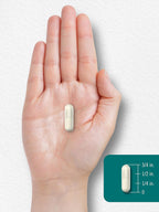 Carlyle L-Theanine 200mg | 120 Cápsulas | Sin OGM, Sin Gluten