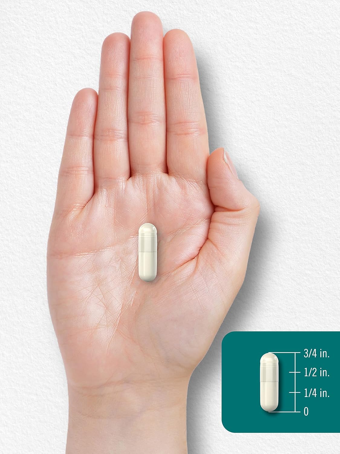 Carlyle L-Theanine 200mg | 120 Cápsulas | Sin OGM, Sin Gluten