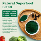 NEVISS Multivitamínico Vegano para Mujeres y Hombres - 60 Gominolas Sin Azúcar con B12, D3+K2, Omega-3, Hierro, Colina, Zinc