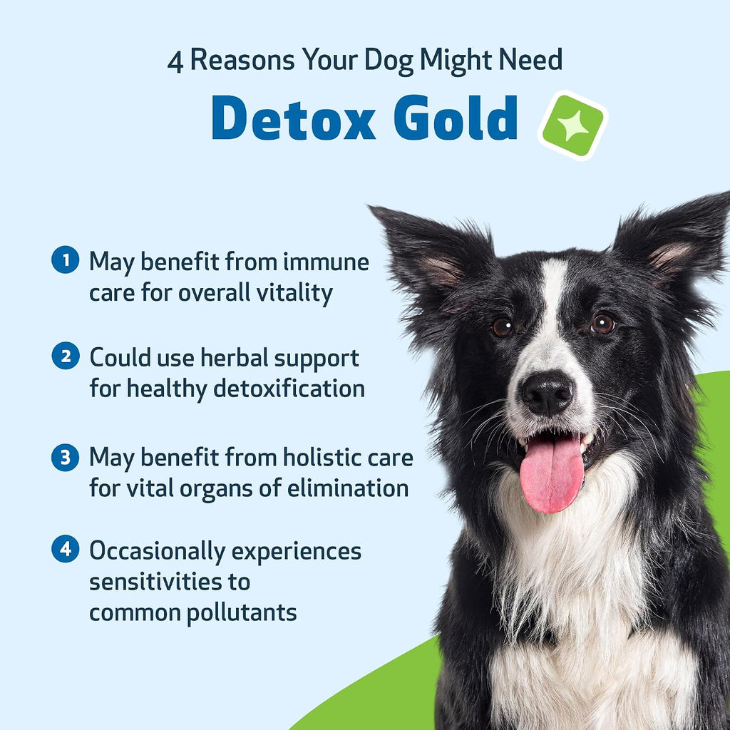 Pet Wellbeing Detox Gold for Dogs - Gentle Detox Herbal Supplement with Nettle, Blessed Thistle, and Burdock - 59 ml