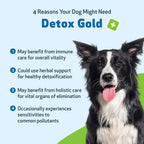 Pet Wellbeing Detox Gold for Dogs - Gentle Detox Herbal Supplement with Nettle, Blessed Thistle, and Burdock - 59 ml
