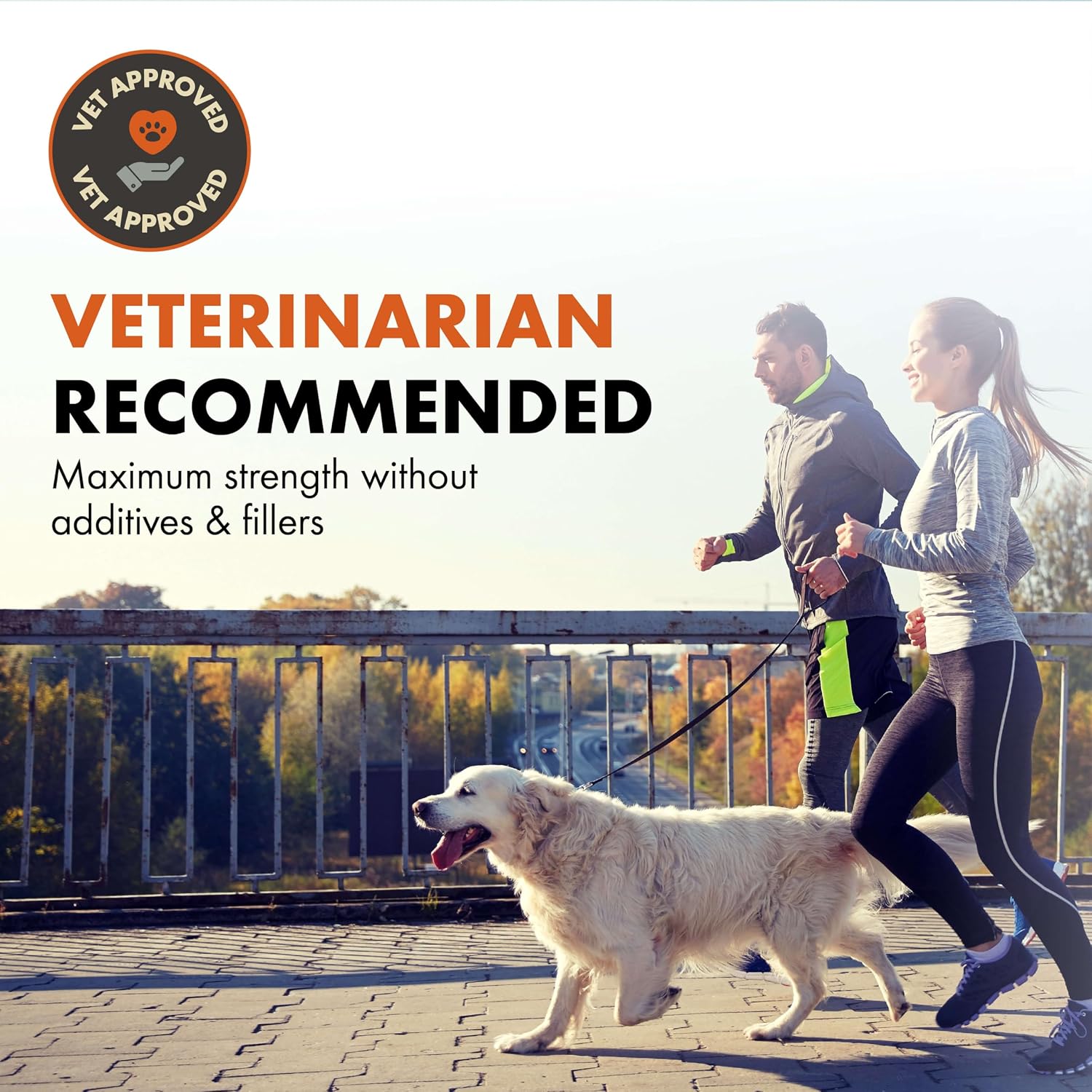 Shield Allergy Immune Support para Perros Pequeños - Polvo de Setas y Vitamina C - 108g