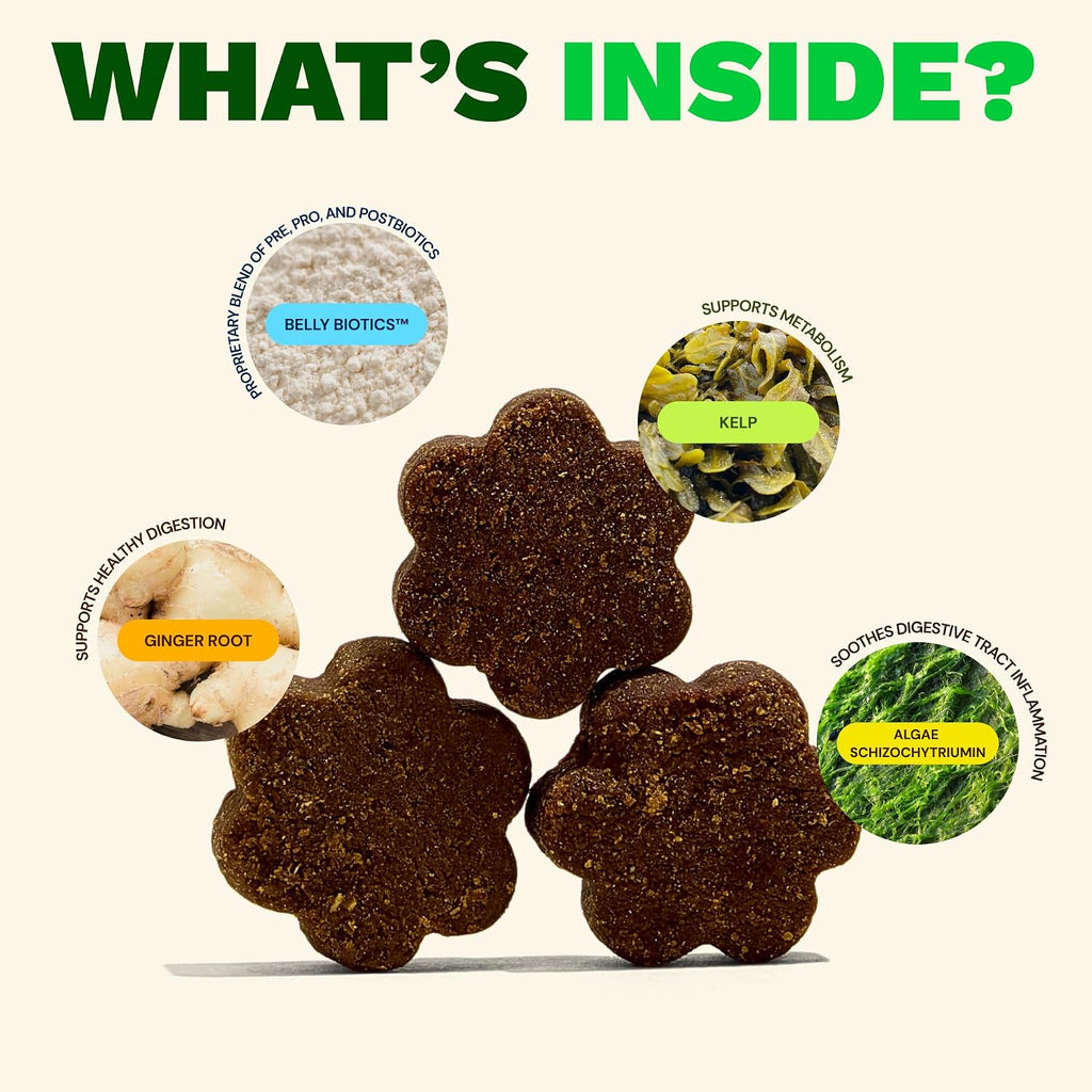 Get Joy Digestion Chews - Suplemento digestivo para perros con prebióticos, probióticos y posbióticos, 90 masticables