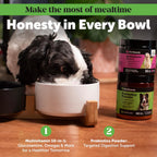 Pet Honesty Probióticos en polvo para perros con enzimas digestivas y calabaza - 90 dosis