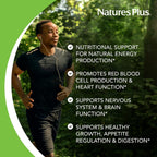 NaturesPlus Vitamina B1 300 mg - 90 Comprimidos de Liberación Sostenida - Tiamina para Energía - Vegetariano, Sin Gluten