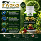 GREEN VALLEY NATURALS Brain Vitality Plus™ – Apoyo Cognitivo para Memoria, Concentración y Claridad Mental con Cognizin® Citicolina, Bacopa Monnieri y DHA Omega-3 | 60 Cápsulas Blandas