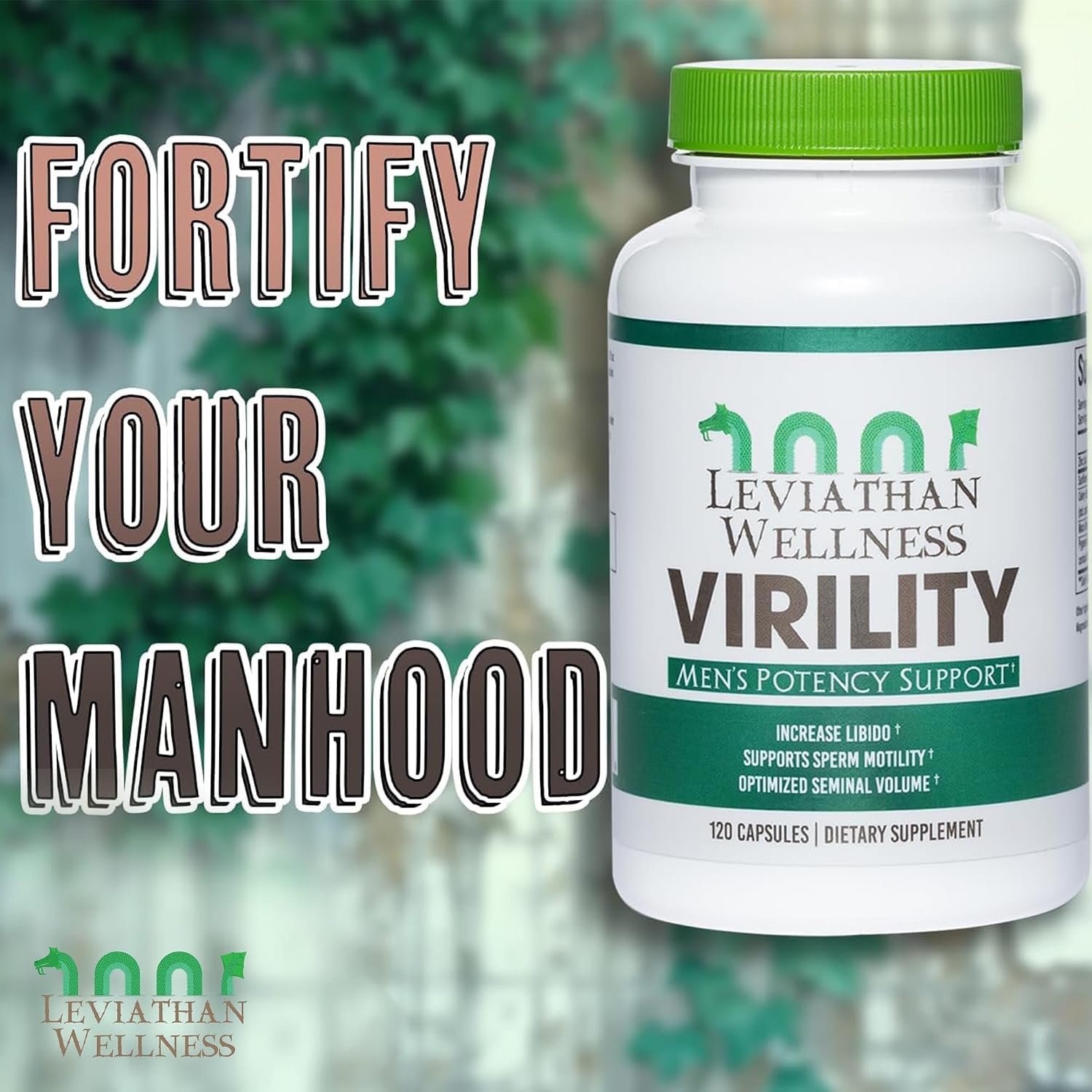 Virility - Potencia Masculina | Zinc (10 mg), Lecitina de Girasol (1200 mg), Extracto de Apio (1000 mg), Raíz de Maca (250 mg) | 120 Cápsulas